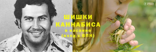 сатива Балабаново