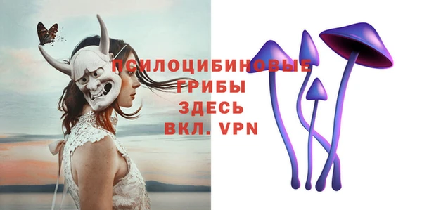 PSILOCYBIN Балахна