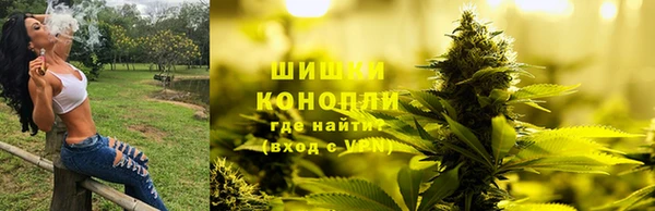 сатива Балабаново