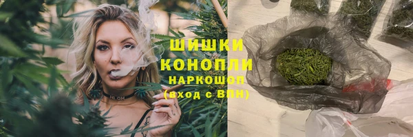 PSILOCYBIN Балахна